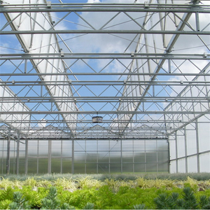 Invernadero de vidrio con sistema de riego, Sistema Automático resistente al viento y duradero, tipo venlo para verduras, multispan - Product Image 3