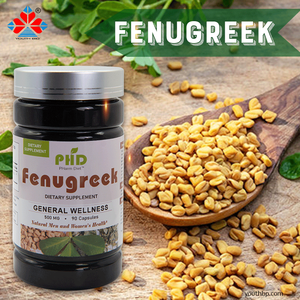 Pasokan massal dewasa kapsul ekstrak <span class=keywords><strong>Fenugreek</strong></span> 40% bubuk Saponins suplemen Herbal bukan untuk remaja atau wanita hamil - Product Image 4
