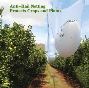 La nuova funzione di piegatura per l'agricoltura degli alberi da frutto Anti-grandine in HDPE protegge dalle dannose grandinate - Product Image 3
