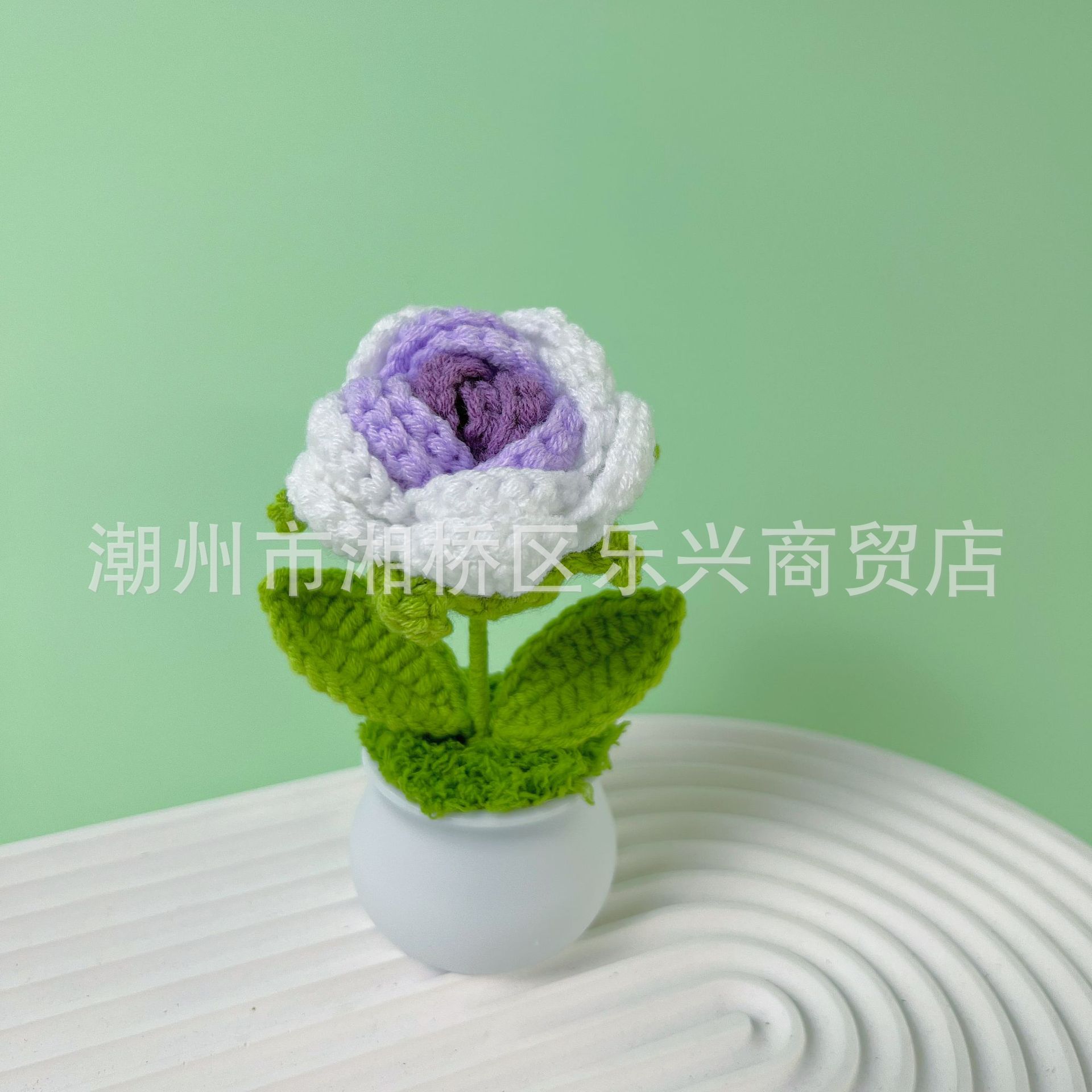 Rose gradient purple color small pot plant