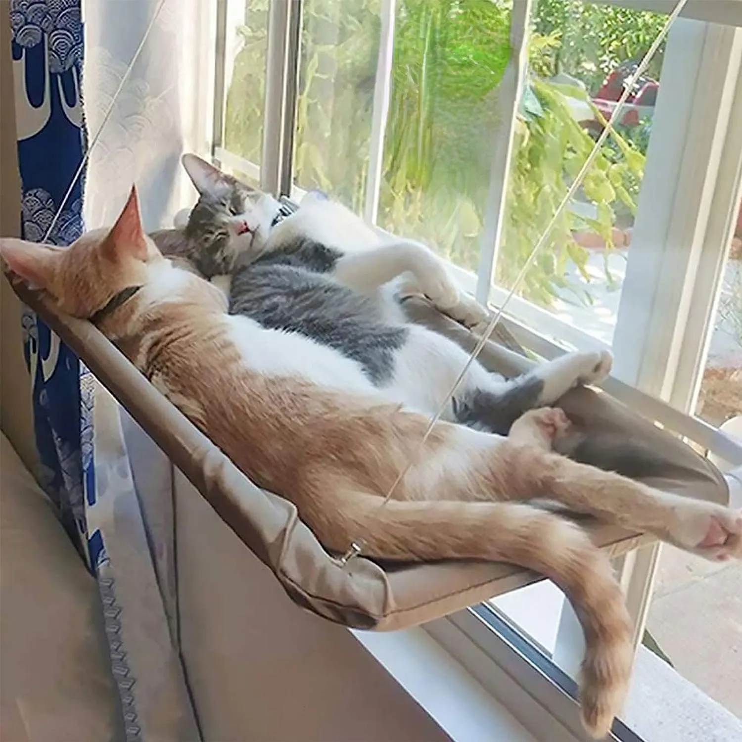 2023 katı vantuz kedi hamaklar all-sezon evrensel ayrılabilir ve yıkanabilir kedi yuvalar kedi pencere levrek hamak koltuk