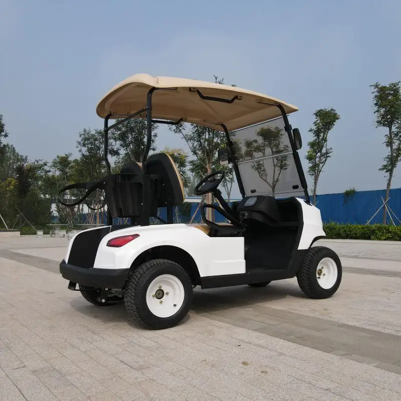 2021 Grey and White Color Manufacture Supply 2 Seat 4 Wheel Electric Golf Carts Golf Buggy