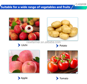 Maquinaria de alimentos por diámetro Clasificación de tamaño de patata Máquina clasificadora de tamaño Avacado - Product Image 2