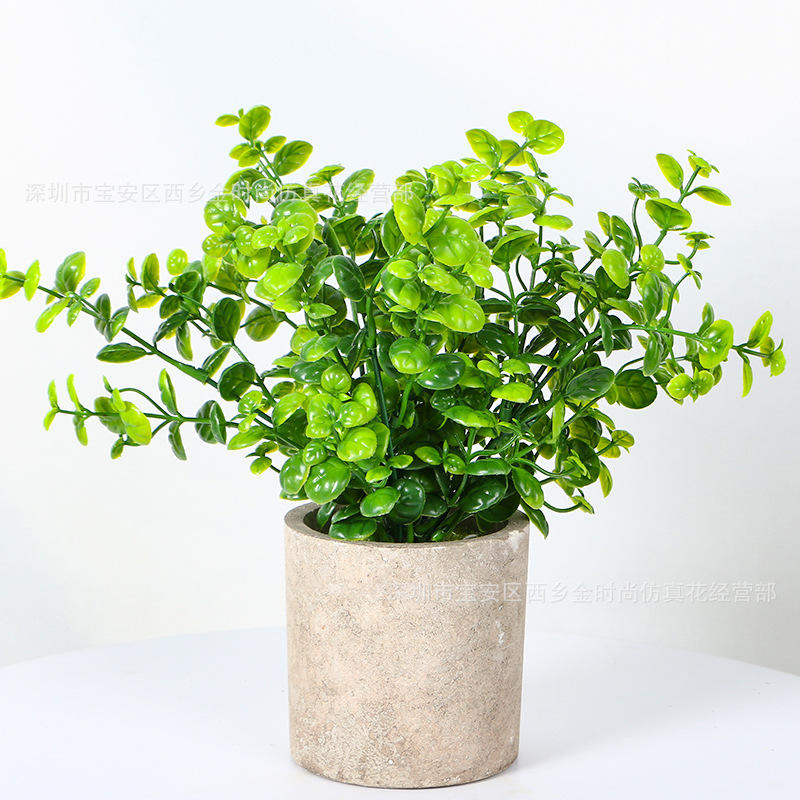 Lentille d'eau verte