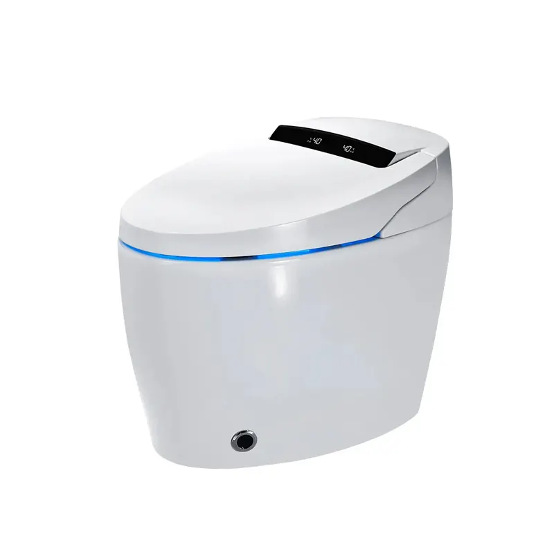 लक्जरी बाथरूम स्मार्ट बुद्धिमान सेंसर ऑटो फ्लश Bidet WC शौचालय का कटोरा के लिए अनुकूलित