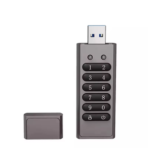 2024新的趋势定制标志安全数字密码锁1gb 2GB u盘USB3.0 Pendrive u盘 - Product Image 4