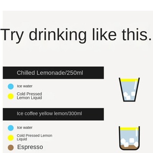 OEM Cold-Pressed Lemon Liquid Freshly Filtered <strong>Juice</strong> in Independent Box Direct from Plant Beverage Source Factory E-Commerce - Product Image 3