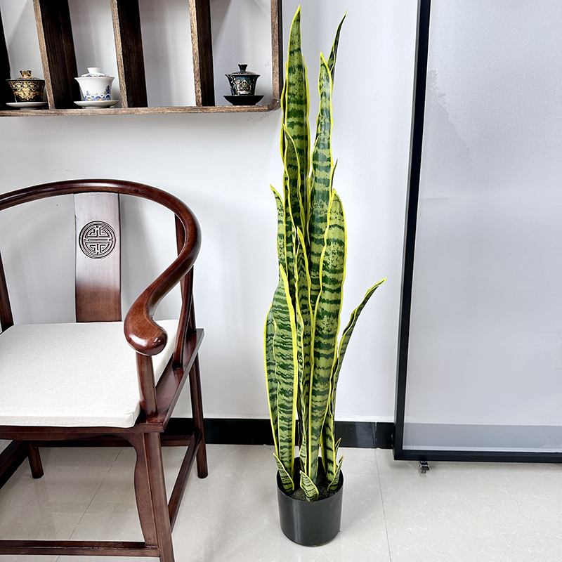 115cm lirio Tigre