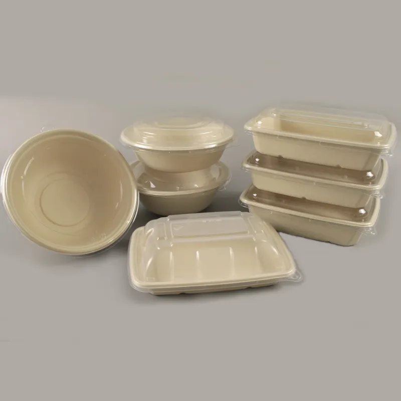 No Added Pfas Sustainable Biodegradable Rectangle Salad Bowl Sugarcane Bagasse Pulp Food Container