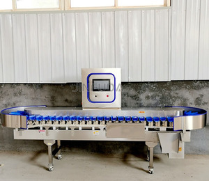 Centrifugal Turntable Small <strong>Automated</strong> Mini Shrimp Fruit Laser Tomato Parcel French Fries Chicken Feet Weight <strong>Sorting</strong> <strong>Machine</strong> - Product Image 6