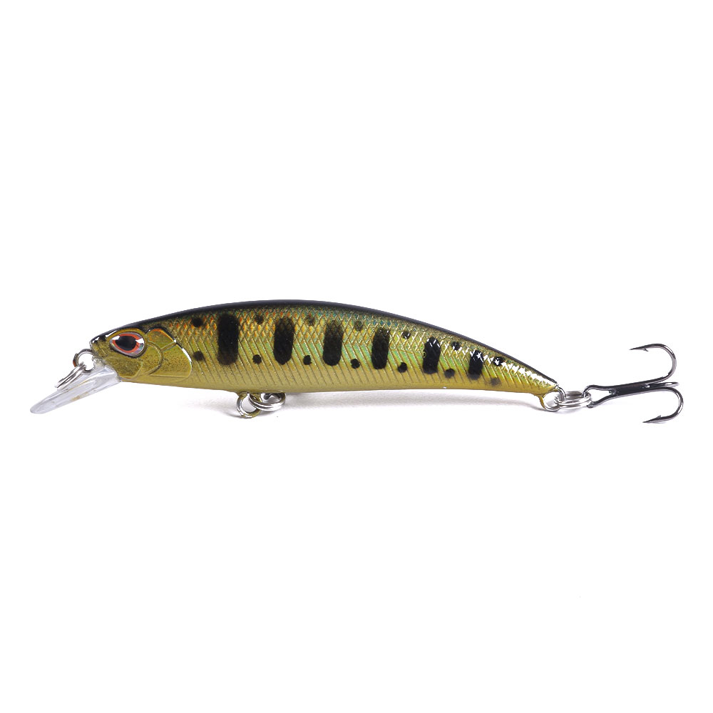 Minnow-013-7
