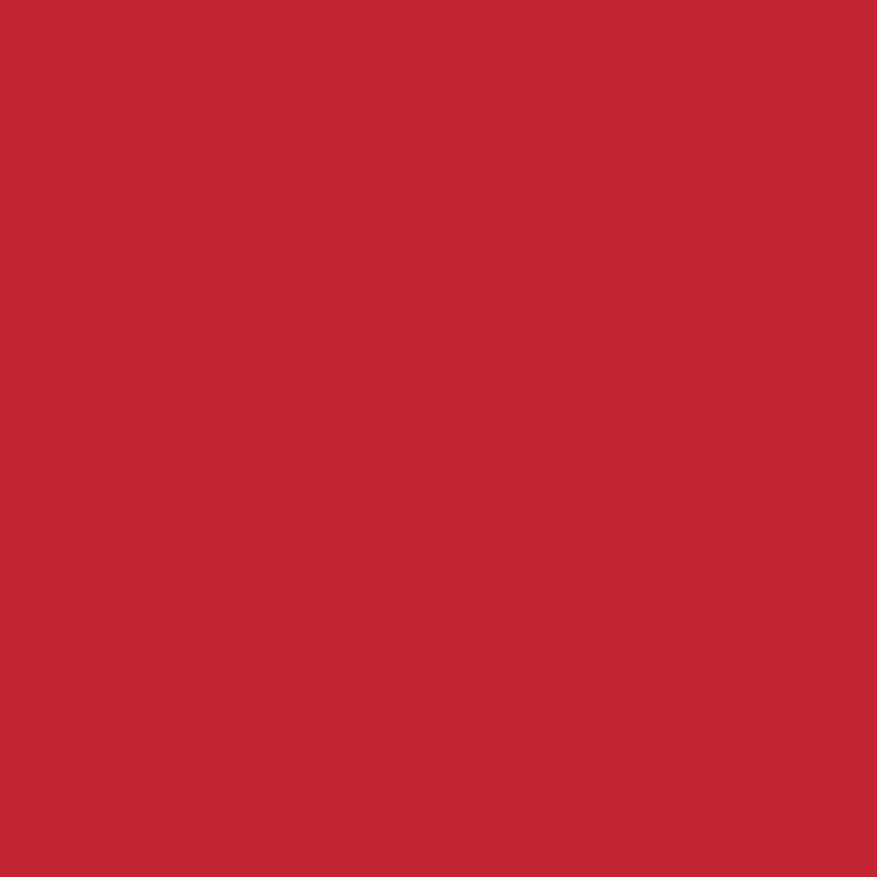 Pintura de látex roja borracha - 20 kg - Antimoho