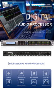 2 <strong>Input</strong> 4 <strong>Output</strong> DSP Audio Processor 48K Sampling Rate 2X4 Speaker Management 11PEQ Professional Drive Rack Software Control - Product Image 5