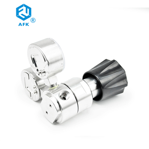 Nitơ điều chỉnh đầu vào 25mpa đầu ra 0.25mpa 0.4mpa 1.0Mpa 1.6mpa 4mpa cho khí ăn mòn đặc biệt khí phòng thí nghiệm điều chỉnh - Product Image 4