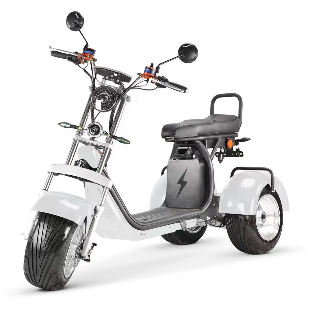 Groothandel Alles-In-Één Driewielige Elektrische Citycoco 60V 2000W Elektrische Driewielige Scooter