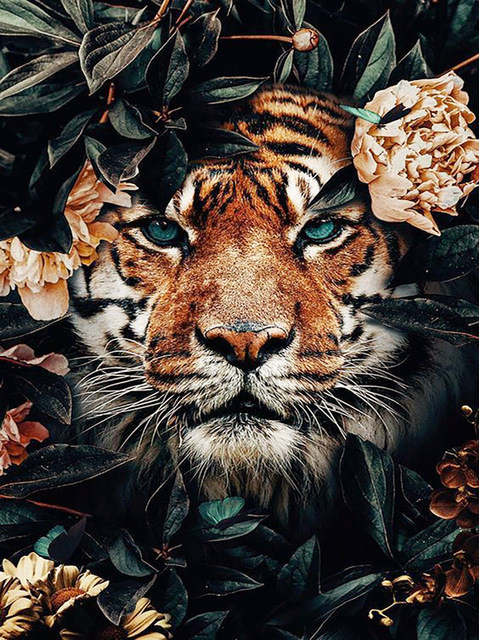 8080 tigre parmi les fleurs