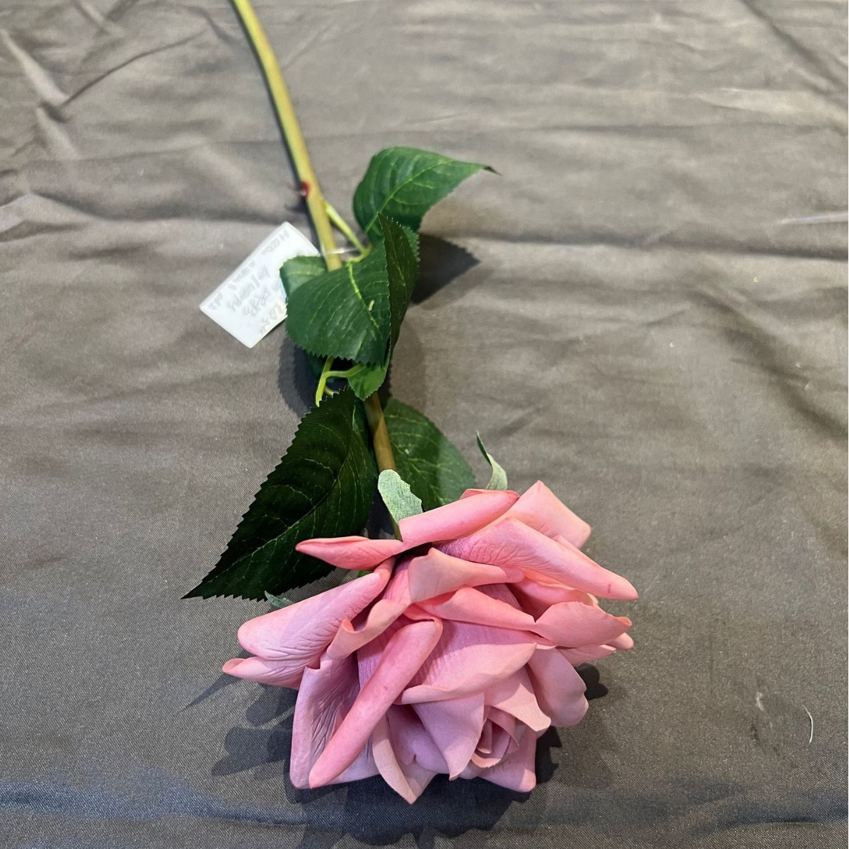 Rosa