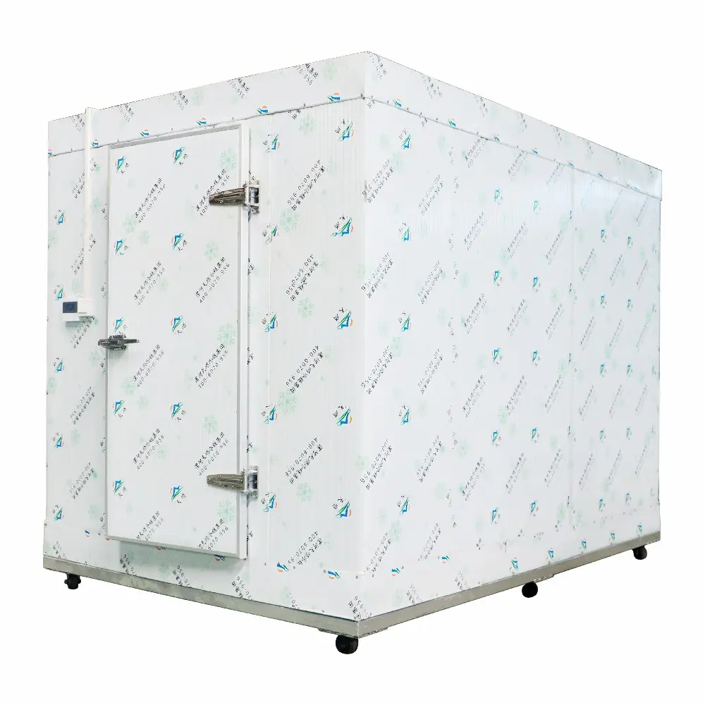 Porta de dobradiça de poliuretano tamanho personalizado para armazenamento de alimentos, porta frigorífica com trava de cam, painel pequeno