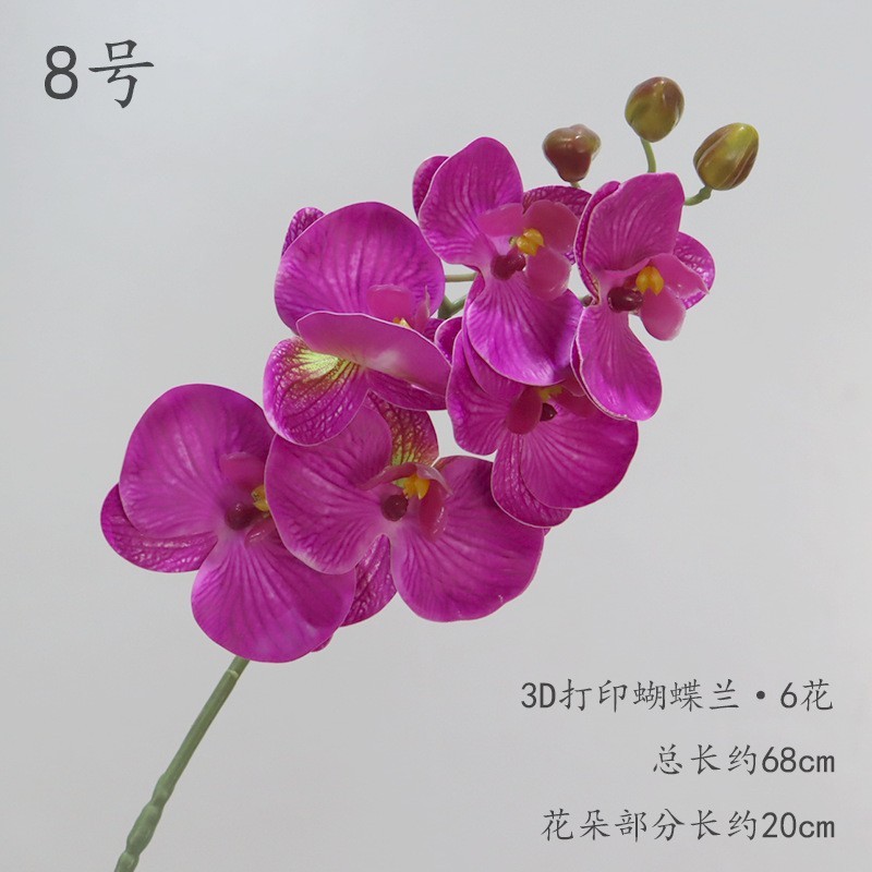 No.8