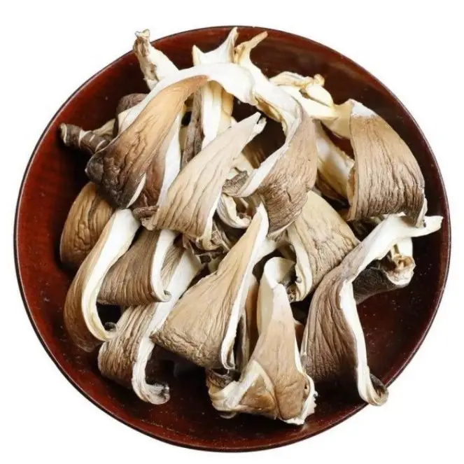 Graine de champignon d'huitre fraîche congelée pour la culture à grande échelle de champignon d'huitre mycelium pour la croissance de champignon d'huitre kit de culture