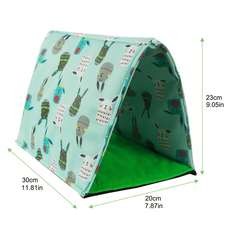Lizard tent, green totoro