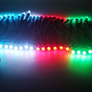 5V Waterproof Full Color WS2811 12mm IP68 <strong>Bullet</strong> <strong>LED</strong> PIXEL Light for Christmas Decoration <strong>LED</strong> Modules Mesh Light Pixel <strong>Led</strong> 12V - Product Image 6