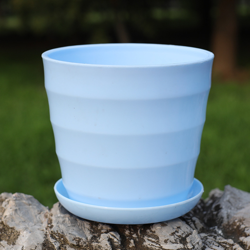 Thickened blue tray