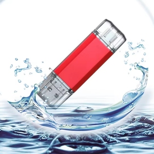 U盘闪存盘记忆棒香槟金黑色双向接口Type-C USB发送挂绳免费样品16G - Product Image 6