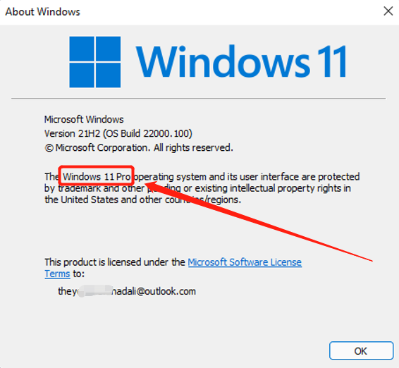 이메일 배달 승리 11 Pro 디지털 키 64비트/32비트 소매 키 스티커 0