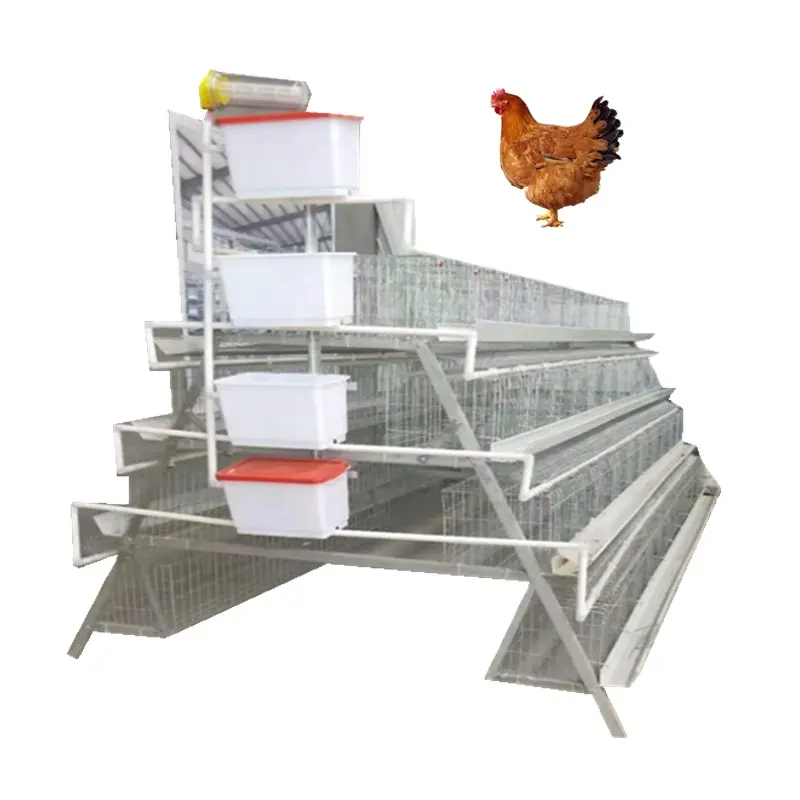 Cage à poulet en acier inoxydable 200 pour les poules et les bébés poussins, caisse en bois, produit chaud fourni, poulailler à 20 poules pondeuses