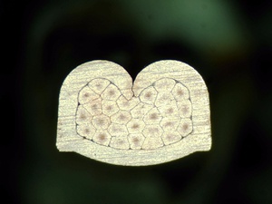 Uốn Net/Thiết Bị Đầu Cuối Crimping Knife/Super Mute Thiết Bị Đầu Cuối Crimping Máy Blade/Otp Applicator Blade 4IO-4.0-3.0-12 CN;HEN Hacint - Product Image 3