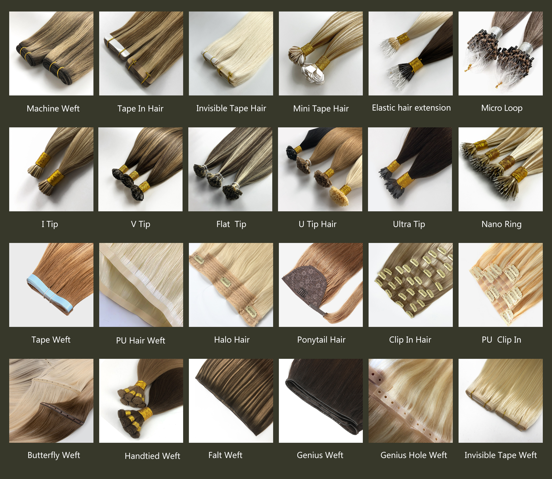 catalogo