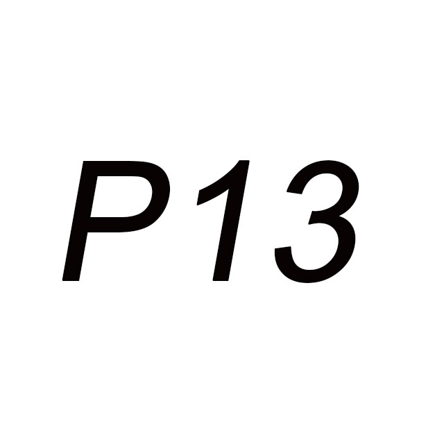 P13
