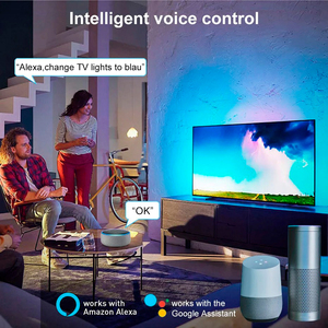 Prezzo di fabbrica IR 24 tasti Controller WIFI APP per smartphone casa magica RGB LED per Led Strip - Product Image 3