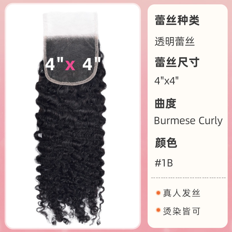 Burmese curly