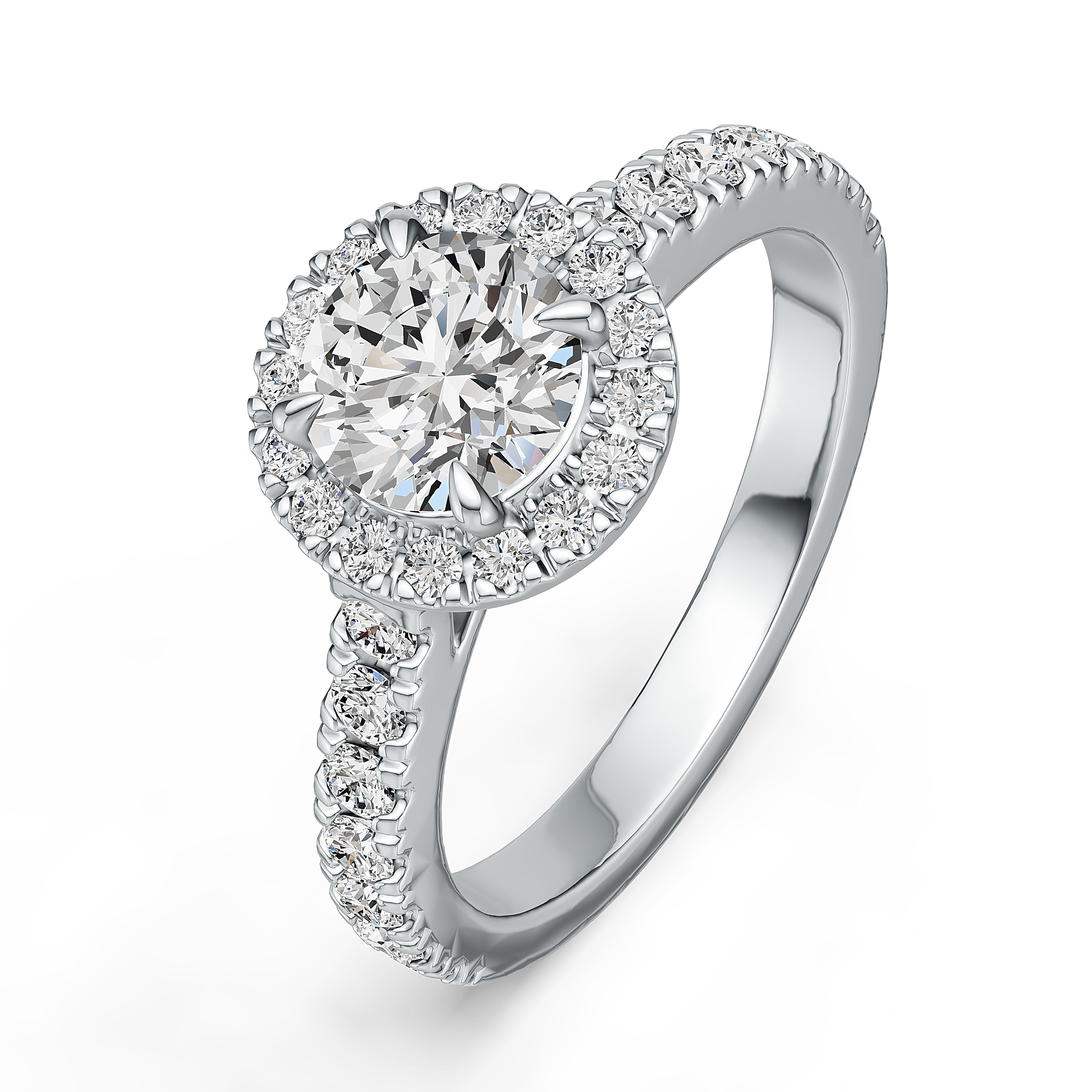 AuDR0003684-blanco