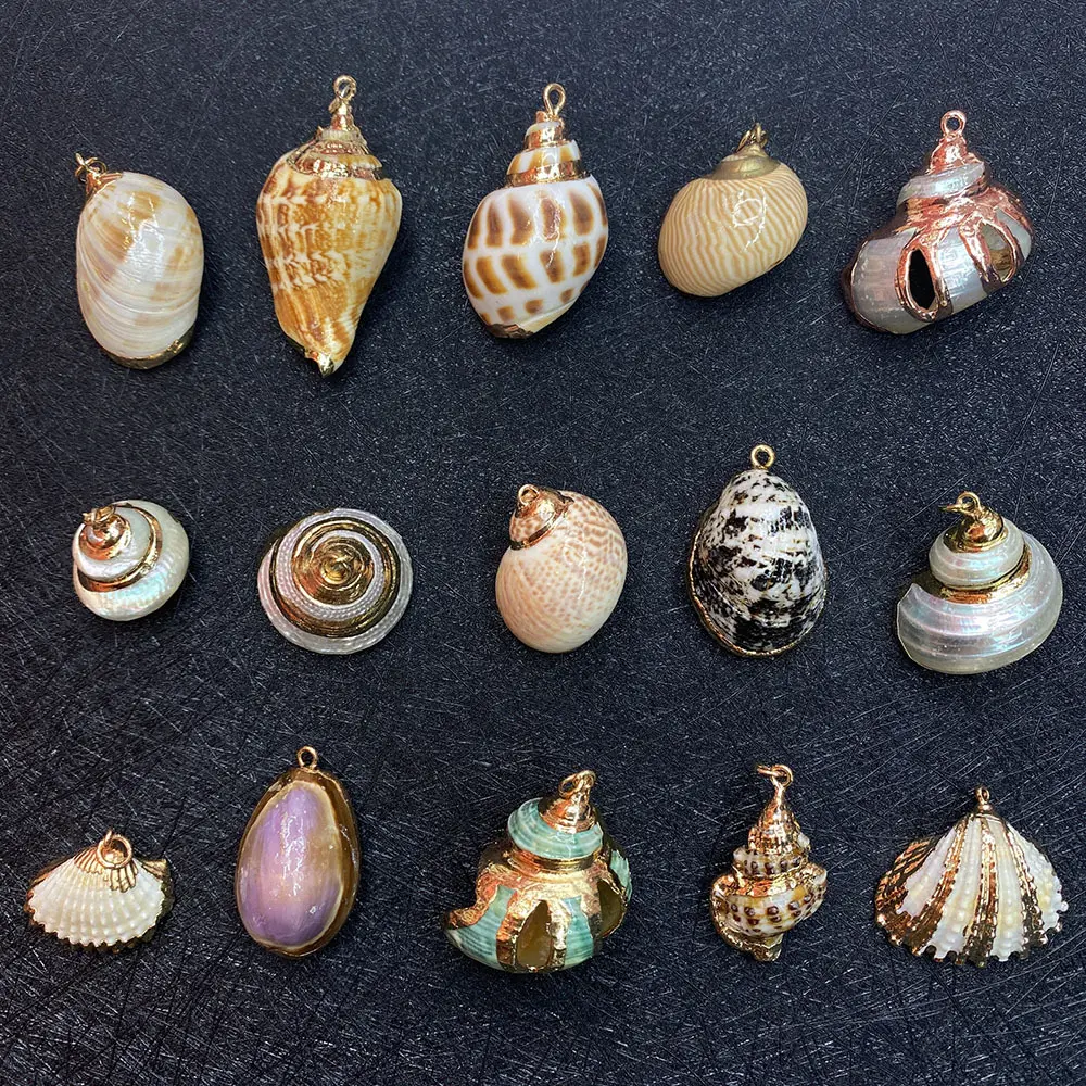 Multi Styles Natural Shell Conch Anhänger Natürliche weiße Kauri Muscheln Charm Conch Shells Plated Charms DIY Schmuck herstellung