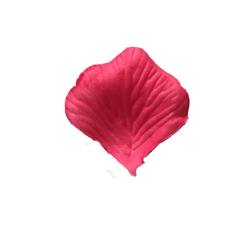 Rosa rossa