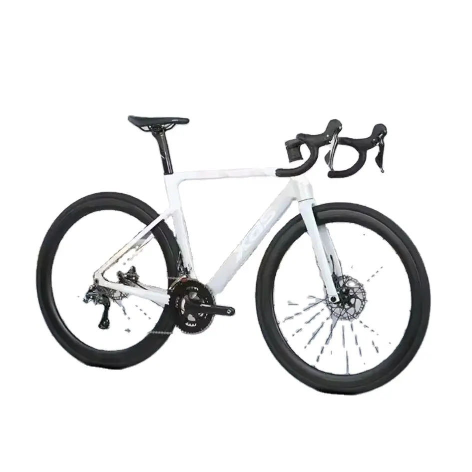 Xds Rs450pro 700x28c 20 Speed Alloy Road Bike Carbon Vork Carbon Velg Shimano Olie Schijfrem Fiets Hoge Kwaliteit Fiets Hot Sale