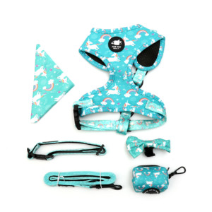 Aksesori hewan peliharaan kustom label pribadi tali kekang Anjing khusus dan tali cetak set <span class=keywords><strong>harness</strong></span> anjing kecil kustom mewah - Product Image 3