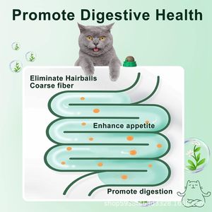 Automatische Plastik katze Kau spielzeug Spinning <span class=keywords><strong>Catnip</strong></span> Ball für Katzen & Hunde lecken Unterhaltung hilft beim Kauen Entspannen - Product Image 3