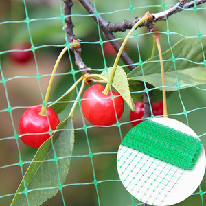 Precio de fábrica red de malla de aro de pollo paloma Red de aves con red de alta resistencia - Product Image 4