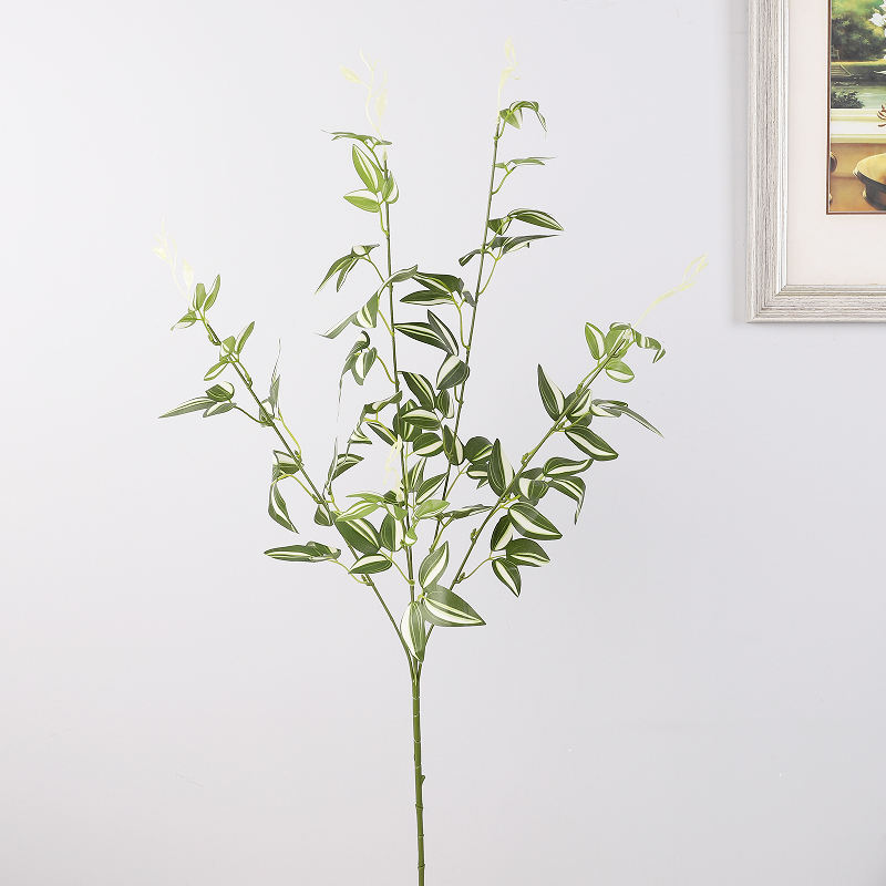 สีเขียว