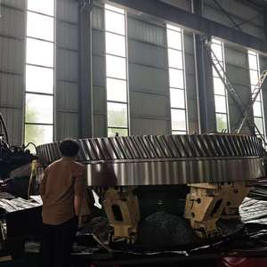 CNC gia công bánh xe lớn vòng bánh răng lớn bánh răng Hành Tinh - Product Image 6