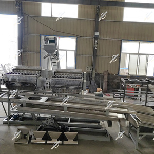 Apparecchiature di linea di produzione completamente automatica per la classificazione degli anacardi che smistano il guscio bollente che rompe la macchina per la lavorazione dei sgusciatori - Product Image 3