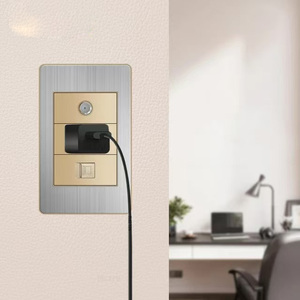 Gold <strong>Function</strong> Key Stainless Steel Gold Panel American Standard Series 118 * 74mm Wall Mounted <strong>Computer</strong> Combination Socket Switch