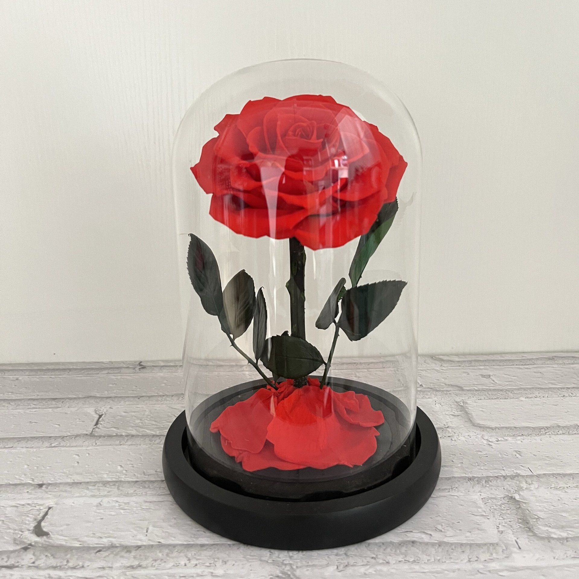 Grand fond noir rouge sans lampe avec boîte cadeau