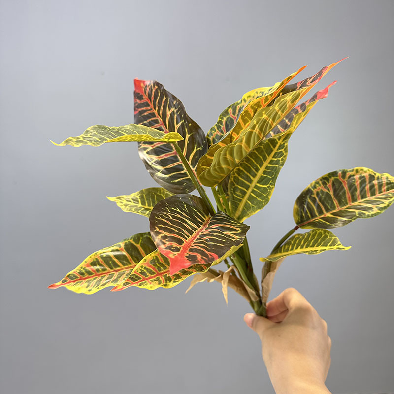 Aglaonema amarillo de 14 hojas