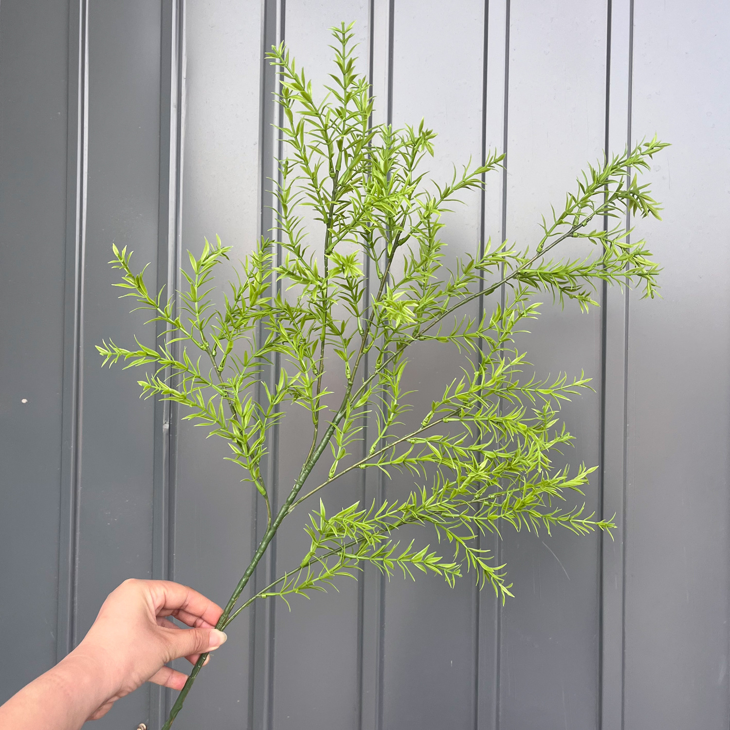 6 fork onion grass-light green