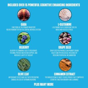 OEM Nootropic Brain Aid Cápsulas Suplemento de memoria Mejorar la concentración Memoria Función cerebral Cápsulas de salud
